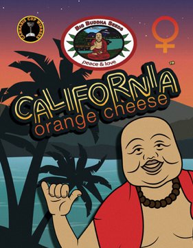 California Orange Cheese fem