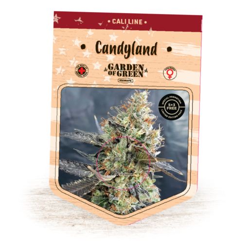 (Bild für) Candyland fem - zum Schließen ins Bild klicken