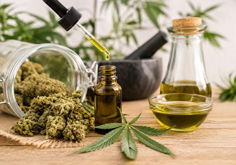CBD Öl selber machen aus CBD-reichen Cannabisblüten