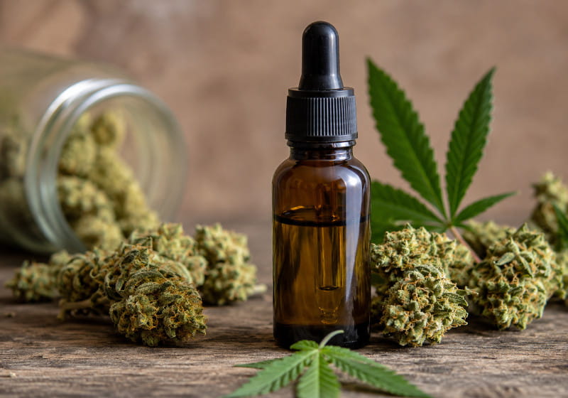 THC Öl selber machen aus Cannabisblüten