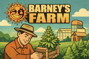Barneys Farm - deine Lieblingssorte bei Cannapot finden