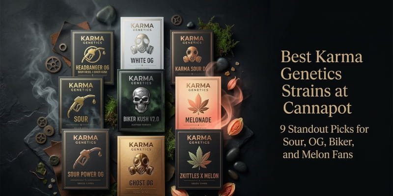 Les neuf meilleures variétés de Karma Genetics chez Cannapot Seedshop