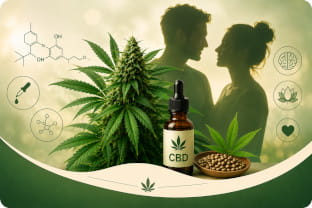 Dosis: Cuánto CBD se debe tomar?