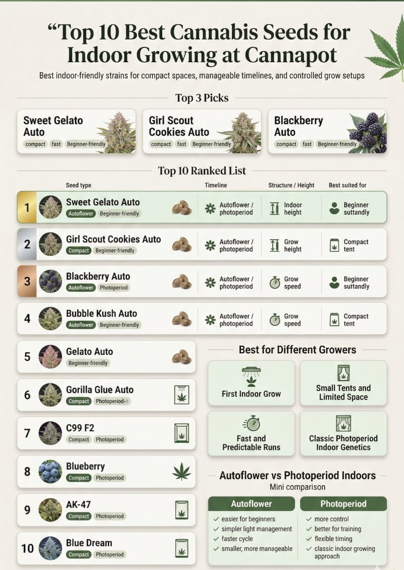 Comparez les 10 meilleures variétés de cannabis pour la culture en intérieur - Cannabis Wiki Cannapot