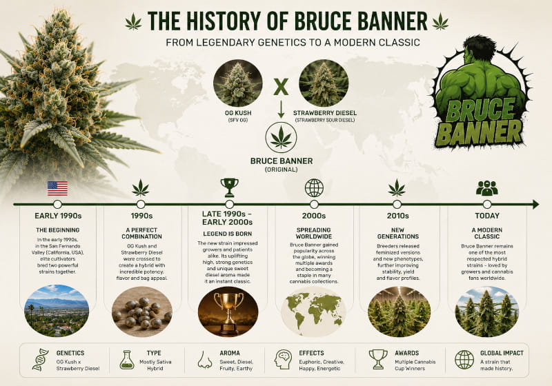 Histoire de la variété Bruce Banner - Canna Wiki Cannapot