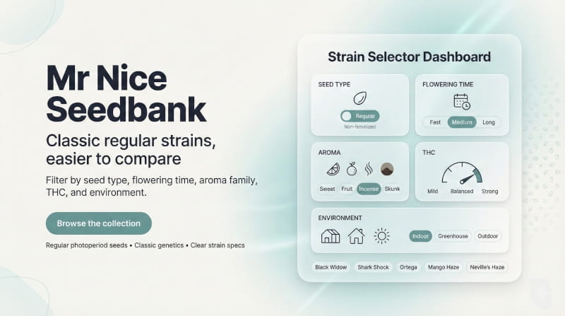 Mr Nice – klassische reguläre Sorten – wählen Sie die Sorte, die Ihnen am besten gefällt