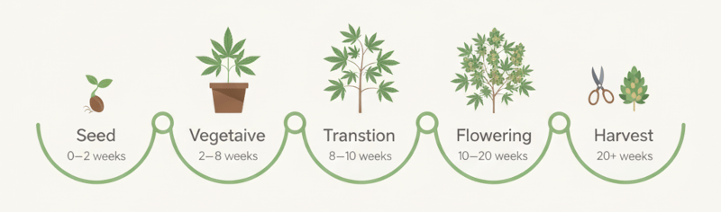 outdoor-anbau-etappen
