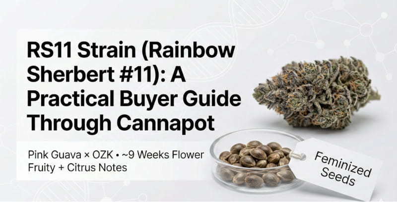 RS 11 - un guide des variétés - deux options d'achat sont disponibles : Growers Choice et Cannapot