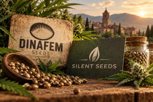 Silent Seeds & Dinafem: History