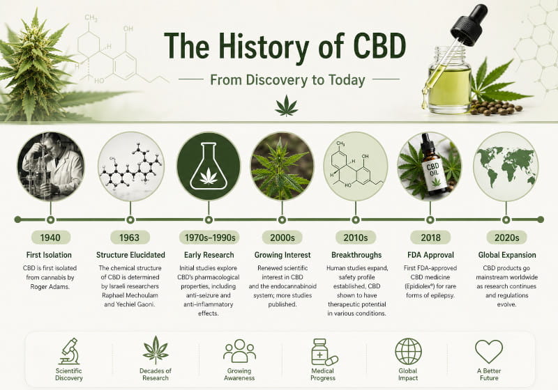 Internationale Zeitleiste zur Geschichte von CBD von 1940 bis heute