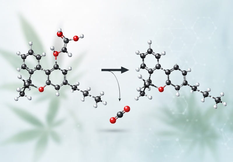 Umwandlung von THCA zu THC durch Decarboxylierung