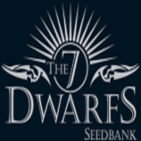 (image for) The 7 Dwarfs