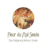 (image for) Fleur du Mal Seeds