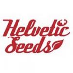 (image for) Owls Seeds