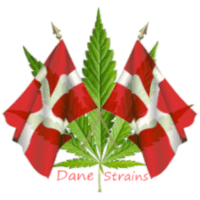 (image for) Dane Strains