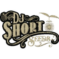 (image for) DJ Short