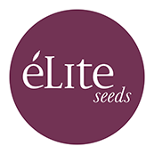 (image for) Elite Seeds