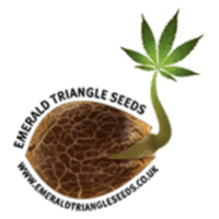 (image for) Emerald Triangle