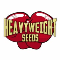 (image for) Heavy Weight Seeds