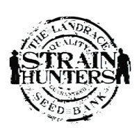 (image for) Strain Hunters