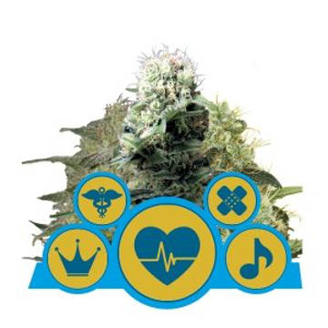 (image for) Royal Queen CBD Mix