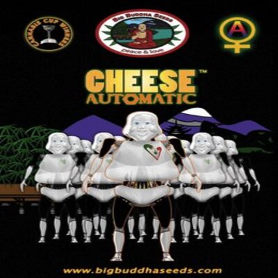 (Bild für) Cheese Automatic fem - zum Schließen ins Bild klicken