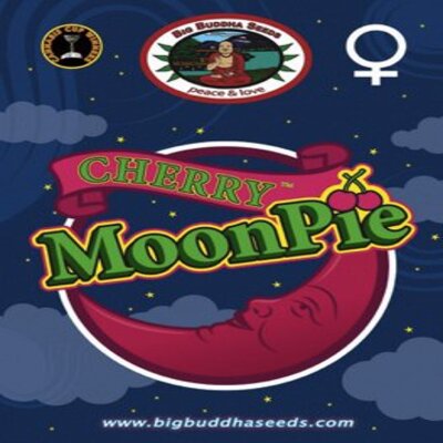(Bild für) Cherry Moon Pie fem - zum Schließen ins Bild klicken