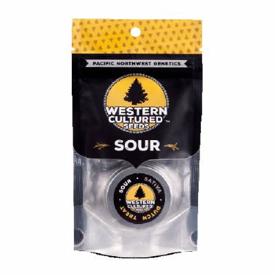 (Bild für) Dutch Treat fem - zum Schließen ins Bild klicken