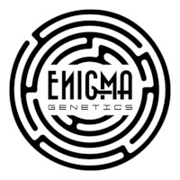 (imagen para) Enigma Genetics