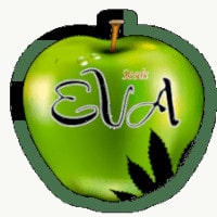 (image for) EVA Seeds