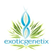 (image for) Exotic Genetix
