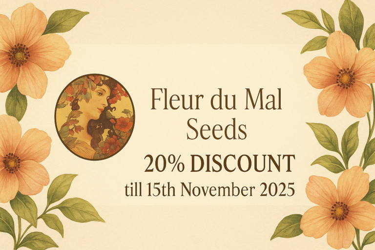 Index-Banner-Leaves_DE