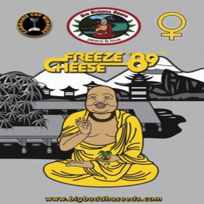 (Bild für) Freeze Cheese 89 fem - zum Schließen ins Bild klicken