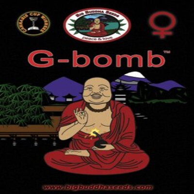 (Bild für) G Bomb fem - zum Schließen ins Bild klicken
