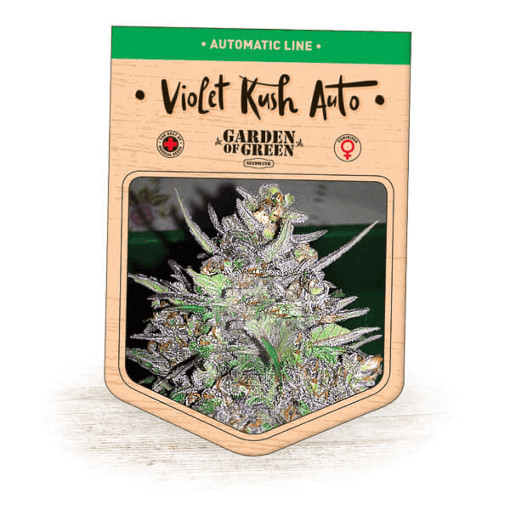 (Bild für) Violet Kush Auto fem - zum Schließen ins Bild klicken