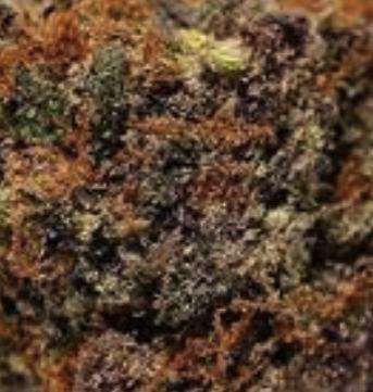 (Bild für) Grape Zkittlez 5 reg - zum Schließen ins Bild klicken