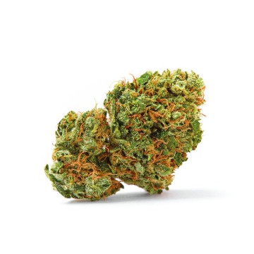 (Bild für) Grapefruit x Bubblegum Auto fem - zum Schließen ins Bild klicken