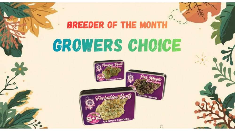 Index-Banner-Leaves_ES