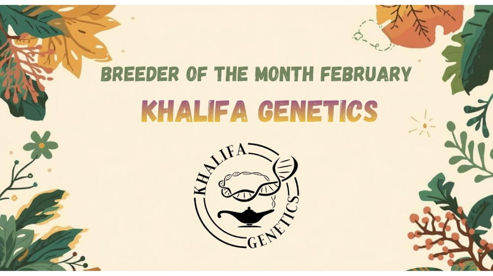 Index-Banner-Leaves_DE