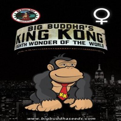 (Bild für) King Kong fem - zum Schließen ins Bild klicken
