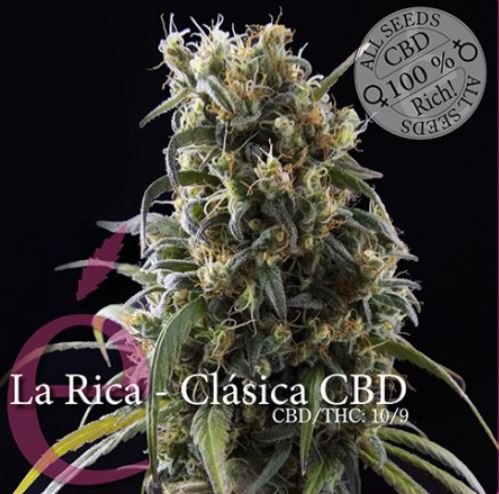 (Bild für) La Rica CBD female - zum Schließen ins Bild klicken