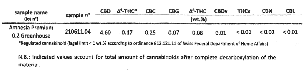 Amnesia CBD - hanfblüten - marijuana - flowers - cannabis