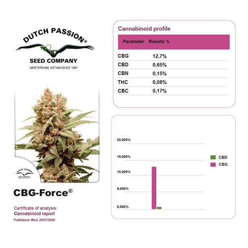 cbg force feminized - dutch passion cannabigerol strains, medical seeds