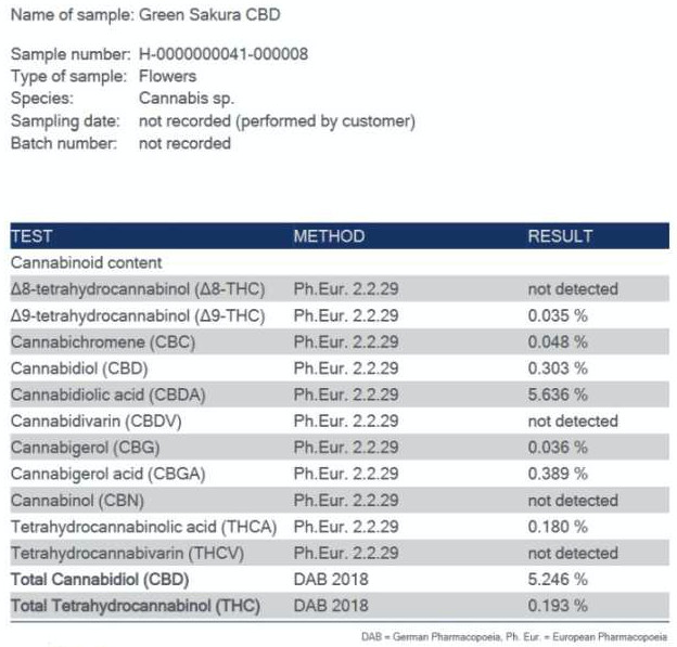 green sakure - nativcanna - cannabidiol hanfsorte