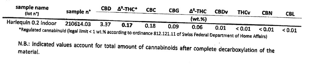 Harlequin - cannabidiol - marijuanablüten - cannabis – legales Marihuana