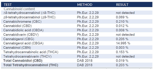 Uhrwerk Orange - CBG Blüten - Cannabidiol Marihuana-online kaufen