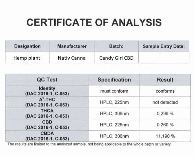 high-cbd-strain-nativcanna-14percent-cannabidiol