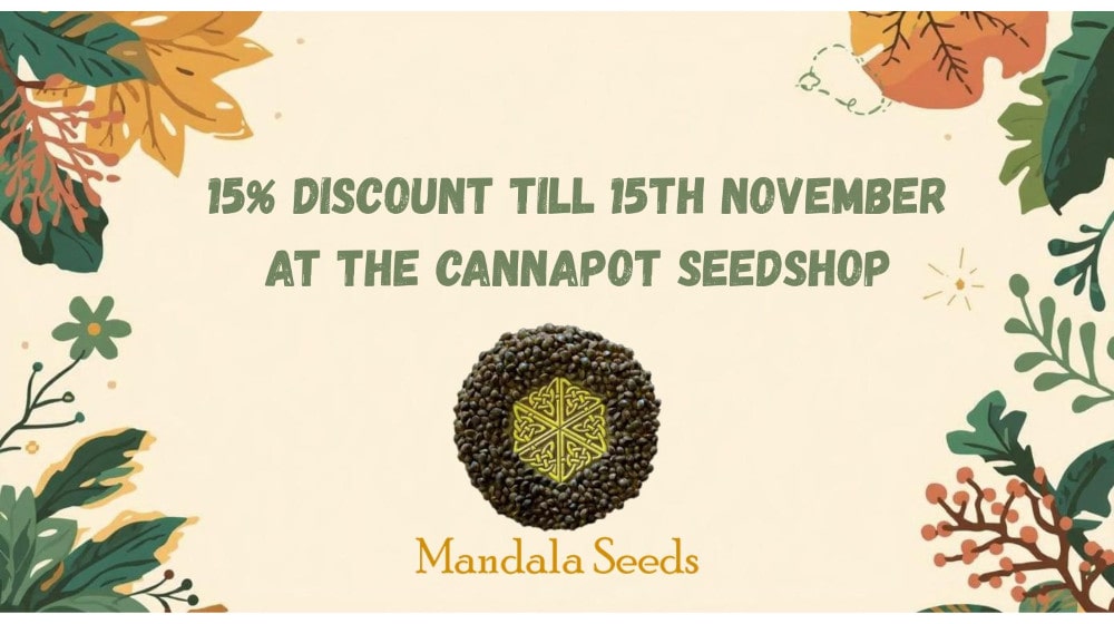 Index-Banner-Leaves_DE