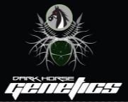 Dark Horse Genetics