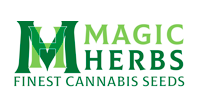 Magic Herbs